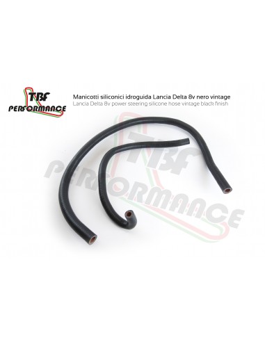 Delta HF Integrale 8v  kit idroguida