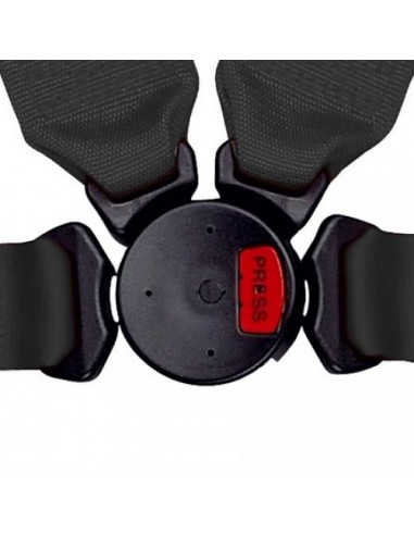 Schroth 4-point belt Profi II-FE asm