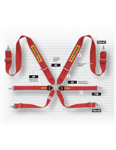 Sabelt Steel 3x2" 6 point Harness FIA